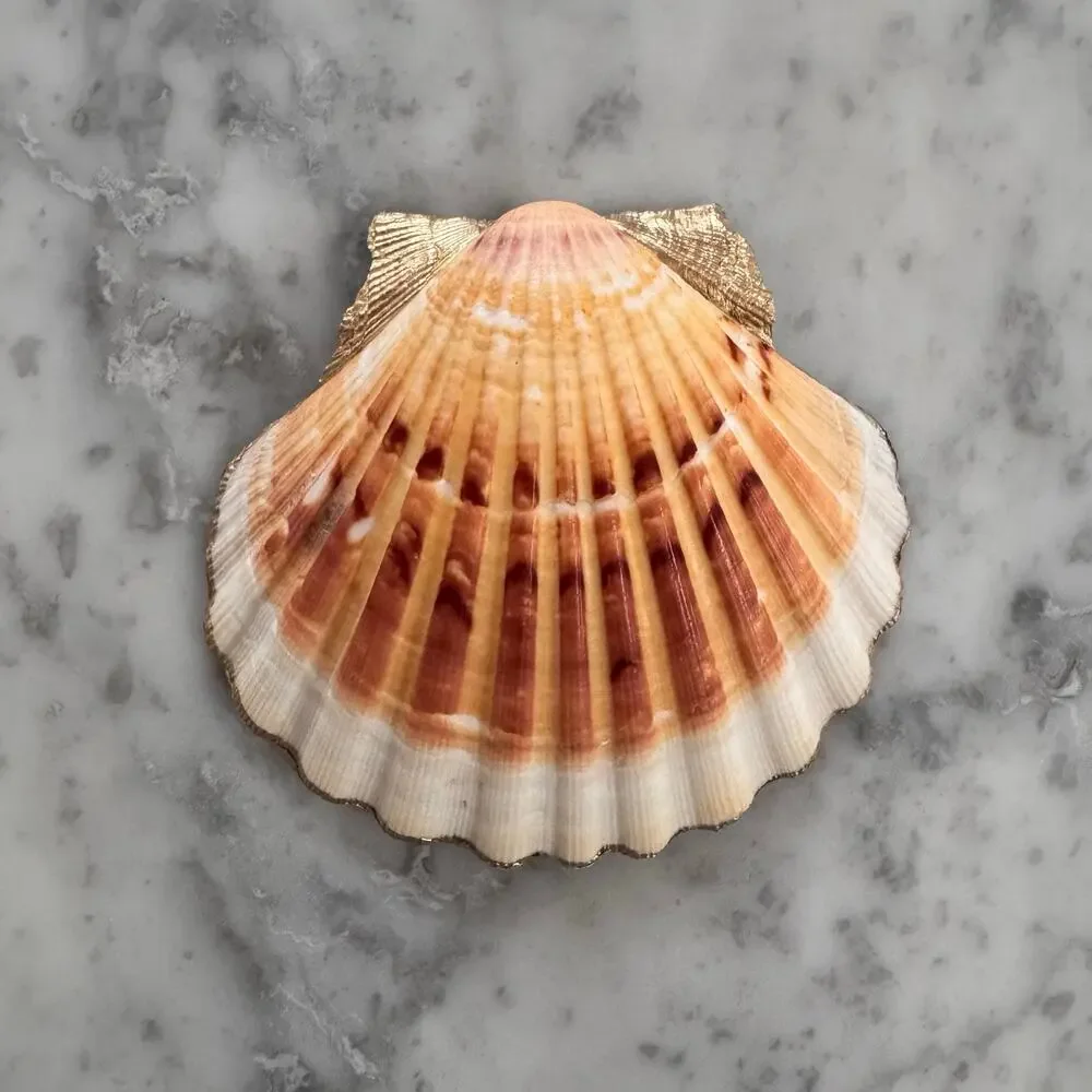 Bumble Bee Shell Trinket Dish, Cottagecore Ring Dish